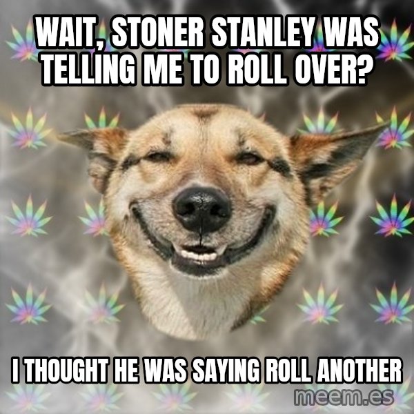 Stoner Dog meme: Wait, Stoner Stanley was telling me to roll over? / I thought he was saying roll another