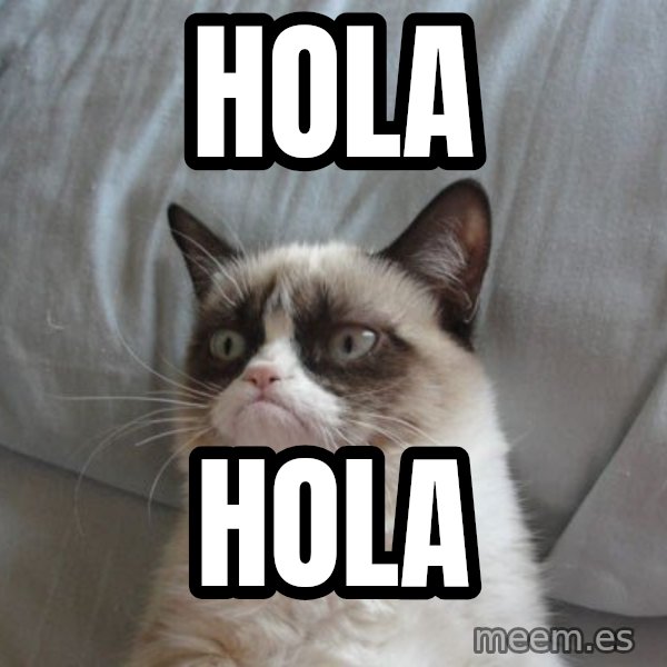 Grumpy cat good meme: Hola / Hola