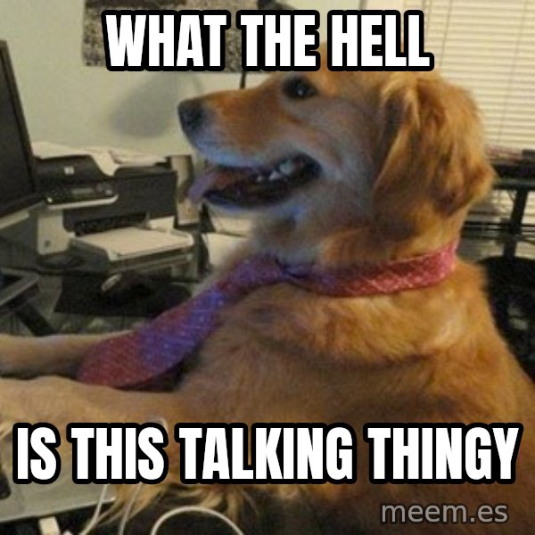 I have no idea what I'm doing - Dog with Tie meme: what the hell / is this talking thingy