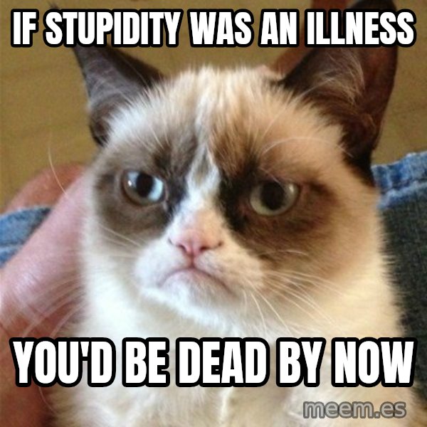 Grumpy Cat  meme: if stupidity was an illness / you'd be dead by now