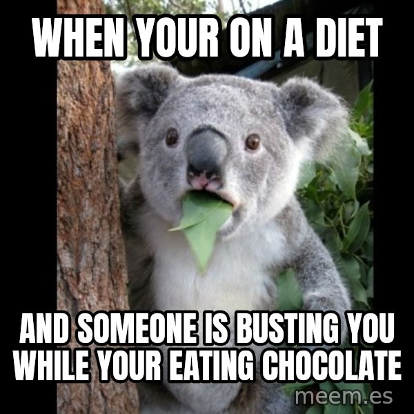 Koala can't believe it meme: when your on a diet / and someone is busting you while your eating chocolate