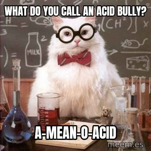 Chemistry Cat meme: what do you call an acid bully? / a-mean-o-acid