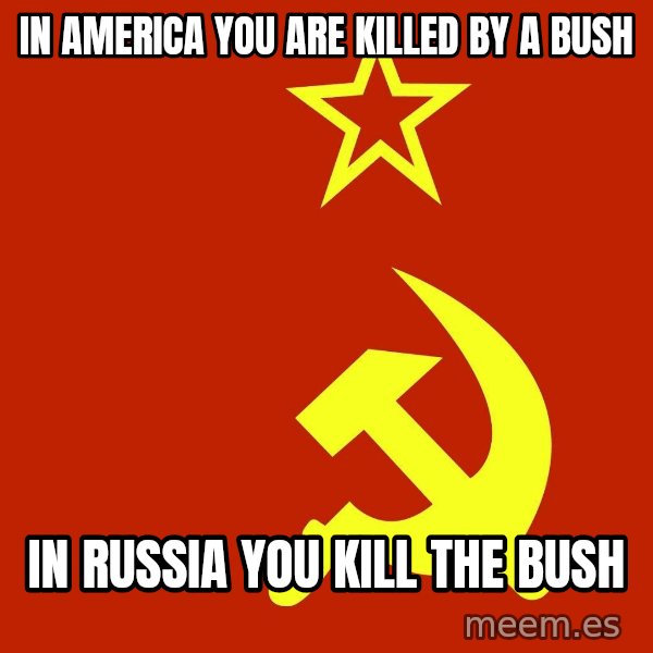 In Soviet Russia meme: in america you are killed by a bush / in russia you kill the bush