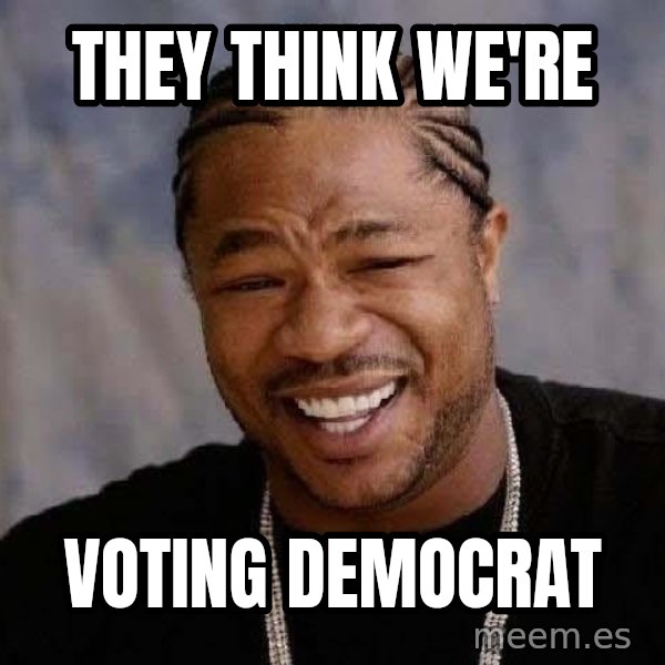 Yo Dawg meme: they think we're / voting democrat
