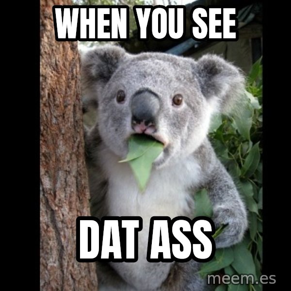Koala can't believe it meme: WHEN YOU SEE / DAT ASS