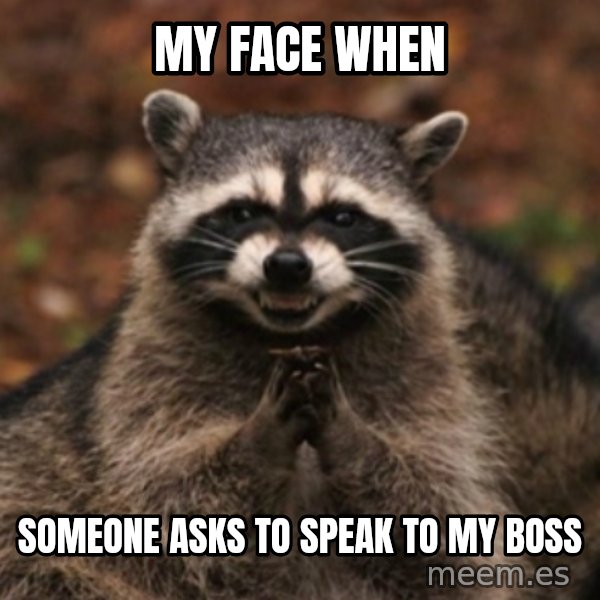 evil raccoon meme: My face when / someone asks to speak to my boss