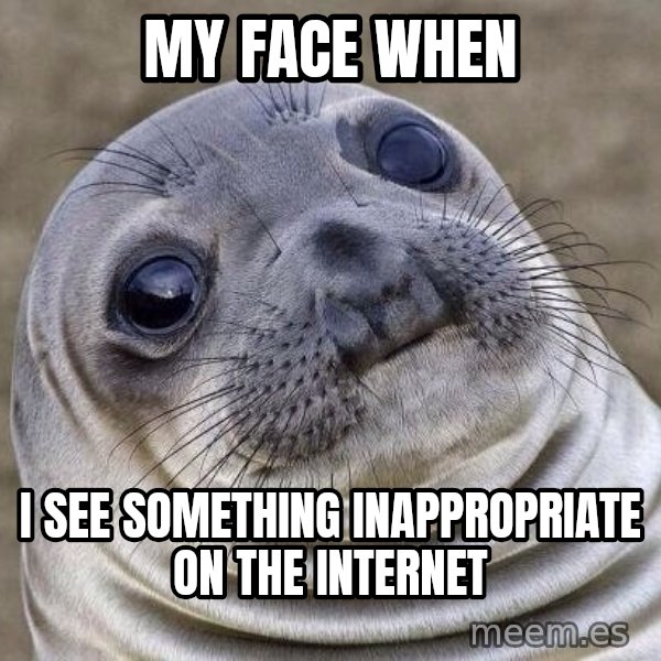 Awkward Seal meme: My Face when / i see something inappropriate on the internet