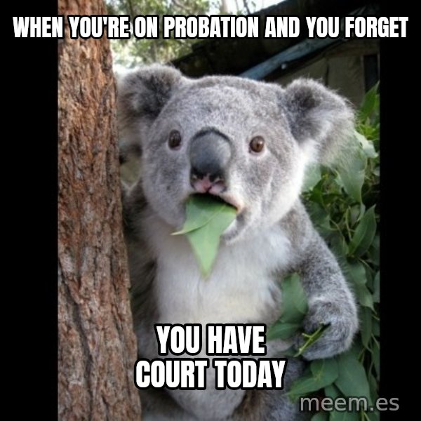 Koala can't believe it meme: WHEN YOU'RE ON PROBATION AND YOU FORGET / YOU HAVE COURT TODAY