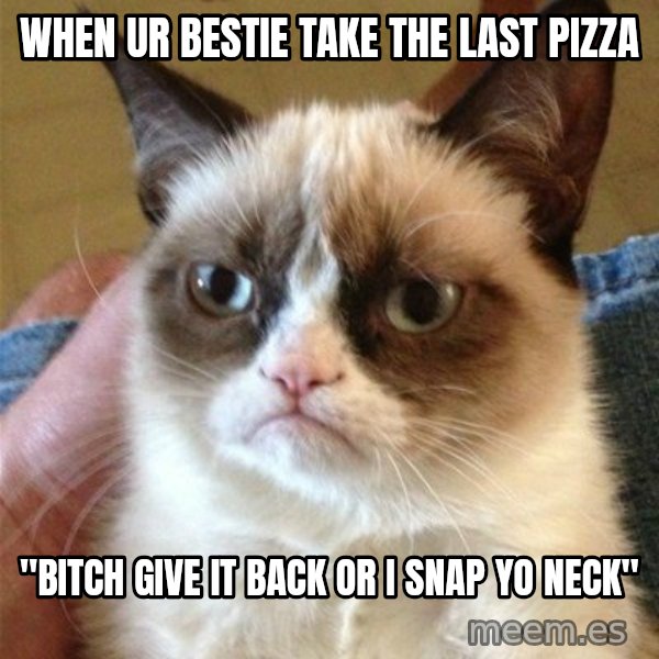 Grumpy Cat  meme: When ur bestie take the last pizza / "bitch give it back or i snap yo neck"