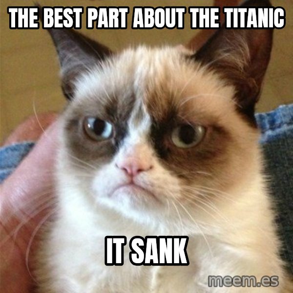 Grumpy Cat  meme: The BEST PART ABOUT THE TITANIC / IT SANK