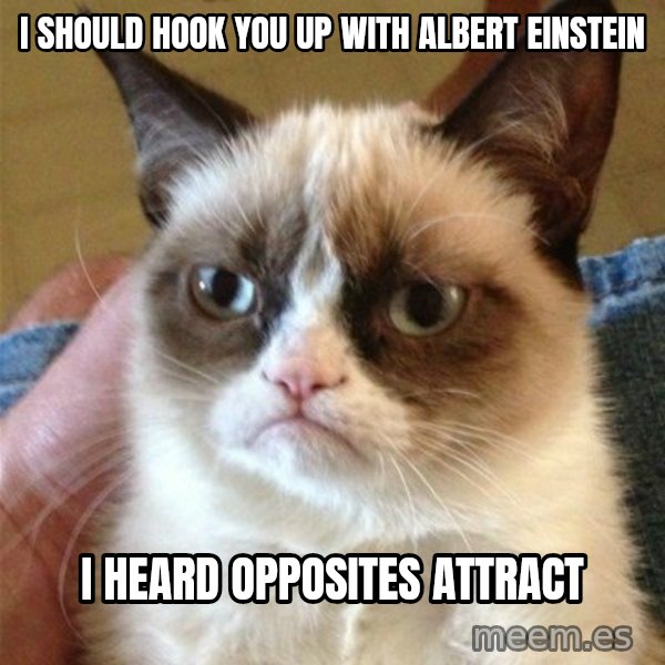 Grumpy Cat  meme: I should hook you up with Albert Einstein / I heard opposites attract
