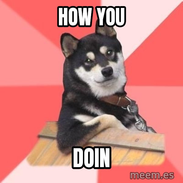 Cool Dog meme: How you / Doin