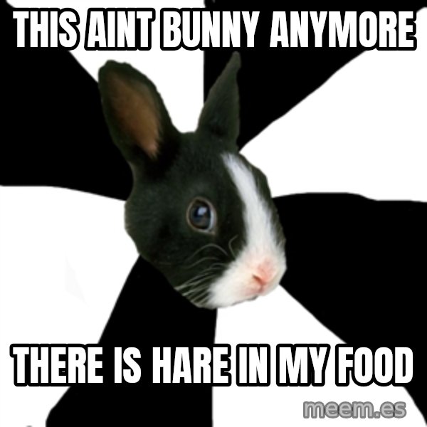 Roleplaying Rabbit meme: This Aint Bunny Anymore / There Is Hare In My Food
