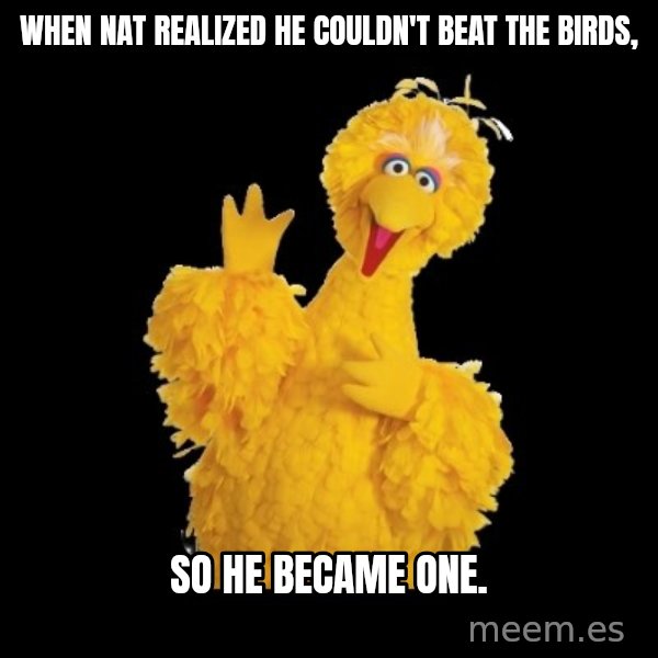 BIG BIRD meme meme: When Nat realized he couldn't beat the birds, / so he became one.