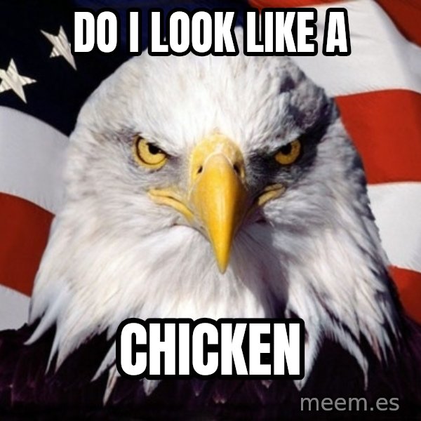 American Pride Eagle meme: do i look like a / chicken