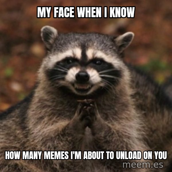 evil raccoon meme: my face when i know / how many memes I'm about to unload on you