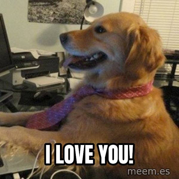 I have no idea what I'm doing - Dog with Tie meme: i love you!