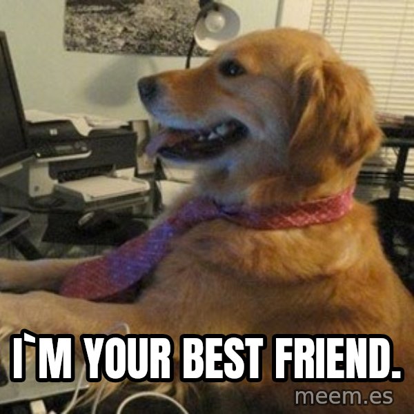 I have no idea what I'm doing - Dog with Tie meme: i`m your best friend.
