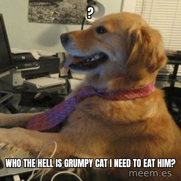 I have no idea what I'm doing - Dog with Tie meme: ? / who the hell is grumpy cat i need to eat him?