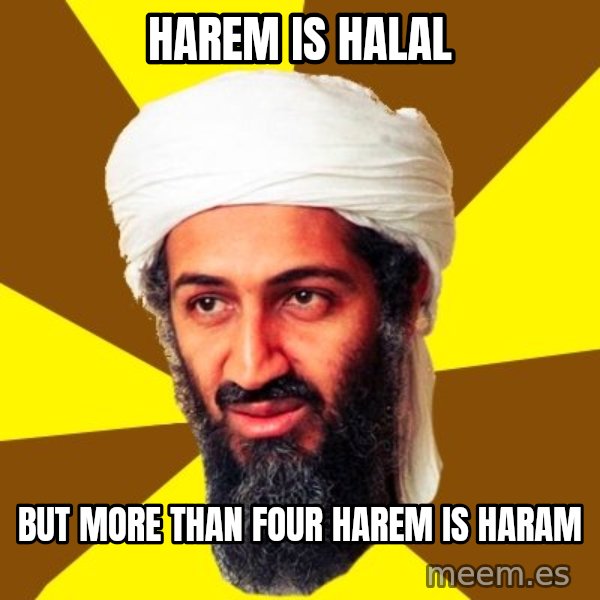 Osama meme: harem is halal / but more than four harem is haram