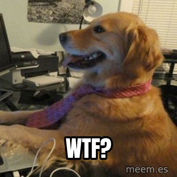 I have no idea what I'm doing - Dog with Tie meme: wtf?