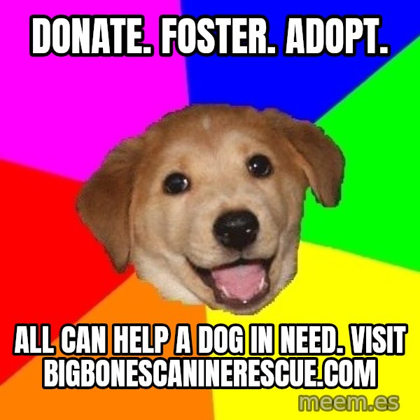 Advice Dog meme: Donate. Foster. Adopt. / All can help a dog in need. Visit bigbonescaninerescue.com