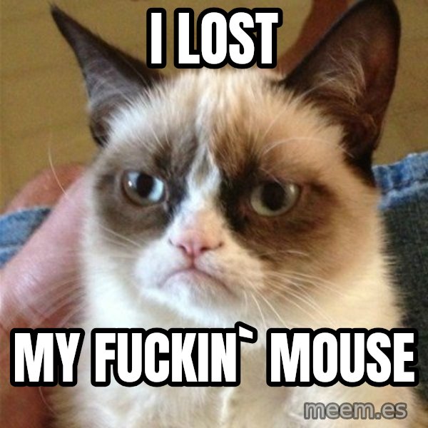 Grumpy Cat  meme: i lost / my fuckin` mouse