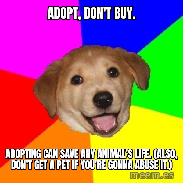 Advice Dog meme: ADOPT, DON'T BUY. / ADOPTING CAN SAVE ANY ANIMAL'S LIFE. (Also, don't get a pet if you're gonna abuse it.)