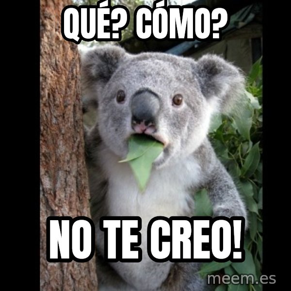 Koala can't believe it meme: Qué? Cómo? / No te creo!
