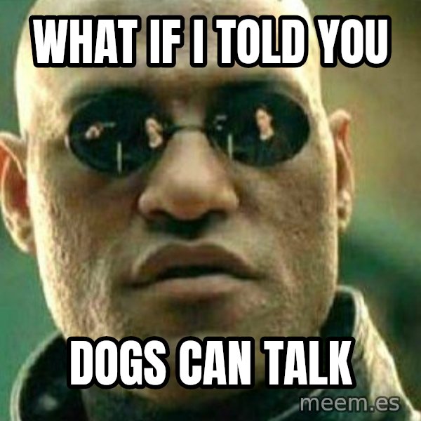 What If I Told You meme: what if i told you / dogs can talk