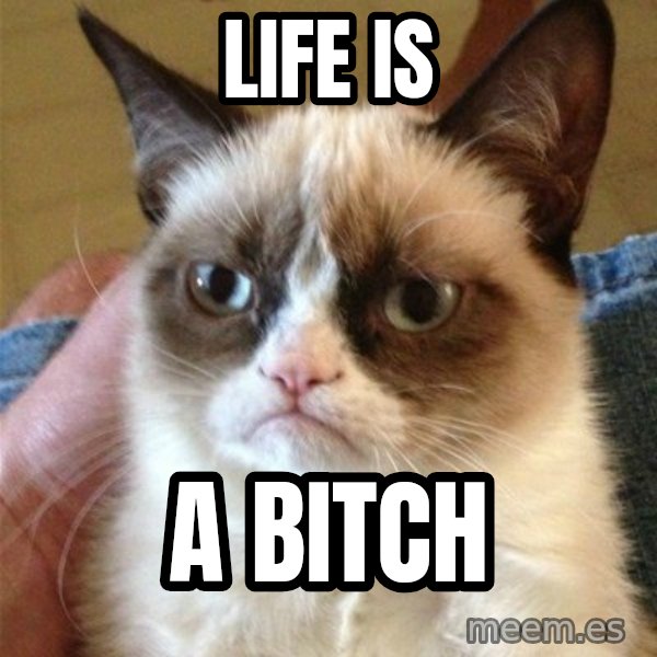 Grumpy Cat  meme: life is / a bitch