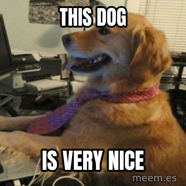 I have no idea what I'm doing - Dog with Tie meme: this dog / is very nice