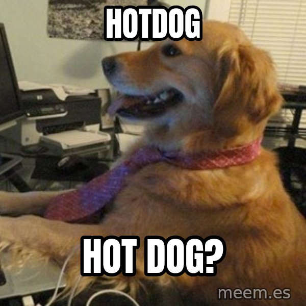 I have no idea what I'm doing - Dog with Tie meme: hotdog / hot dog?