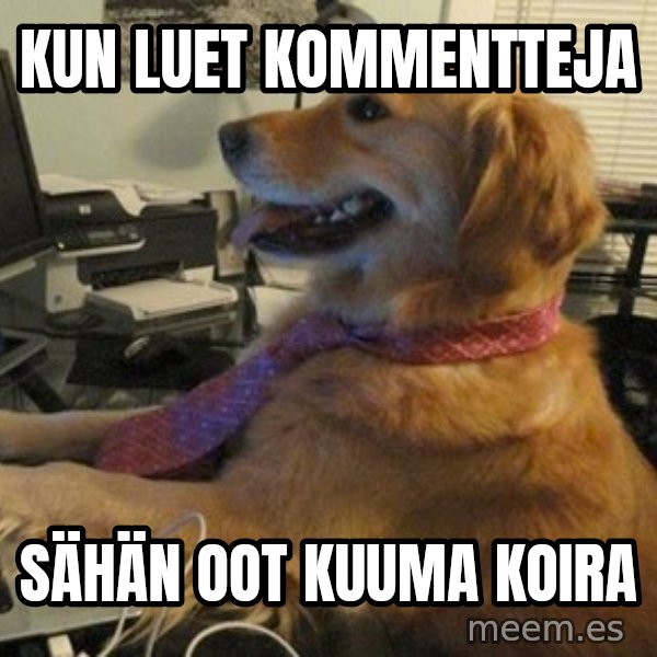 I have no idea what I'm doing - Dog with Tie meme: kun luet kommentteja / sähän oot kuuma koira