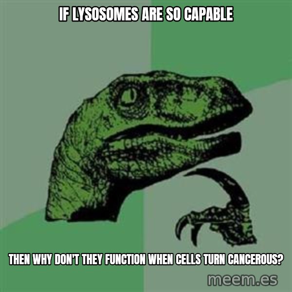 Philosoraptor meme: If lysosomes are so capable / then why don't they function when cells turn cancerous?