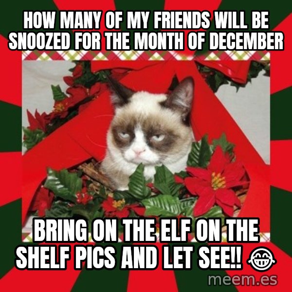 GRUMPY CAT ON CHRISTMAS meme: How many of my friends will be snoozed for the month of December / Bring on the Elf on the shelf pics and let see!! 😂