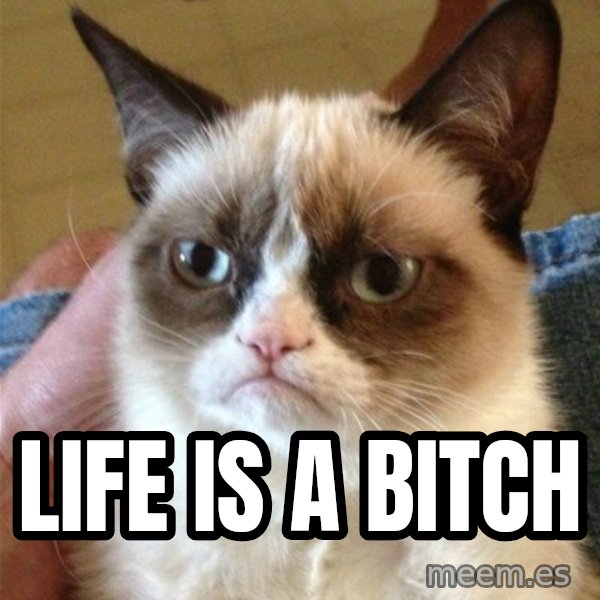Grumpy Cat  meme: Life is a Bitch