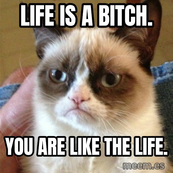 Grumpy Cat  meme: Life is a Bitch. / You are like the life.
