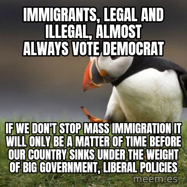 Unpopular Opinion Puffin meme: Immigrants, legal and illegal, almost always vote democrat / If we don't stop mass immigration it will only be a matter of time before our country sinks under the weight of big government, liberal policies