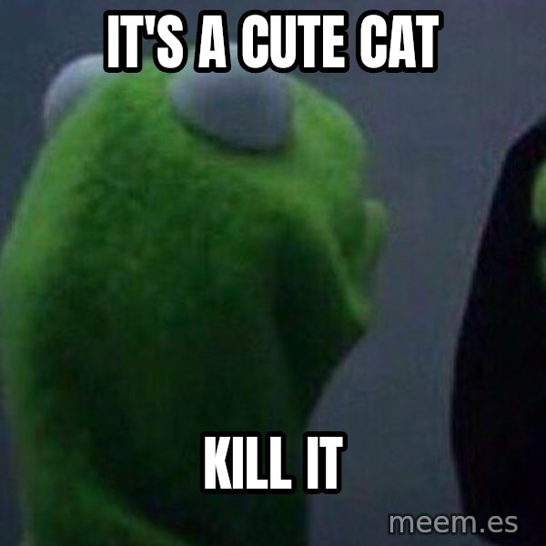 Evil kermit meme: it's a cute cat / kill it
