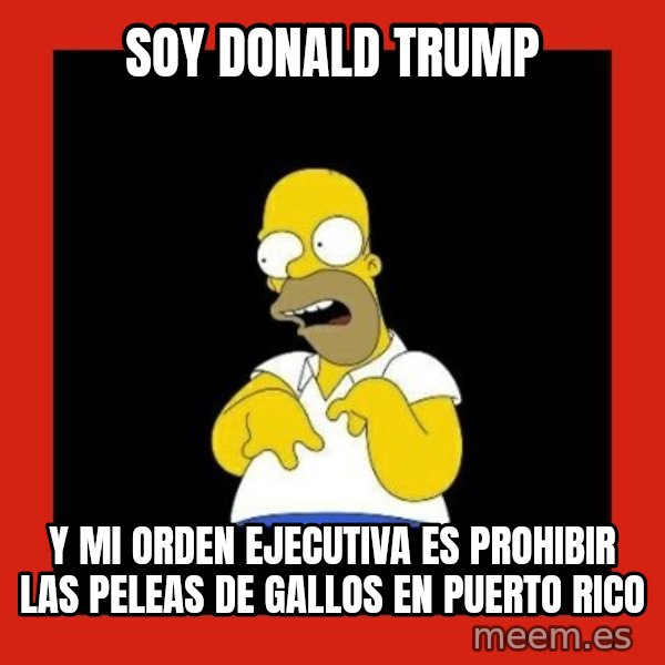 Homer retard meme: SOY DONALD TRUMP / Y MI ORDEN EJECUTIVA ES PROHIBIR LAS PELEAS DE GALLOS EN PUERTO RICO