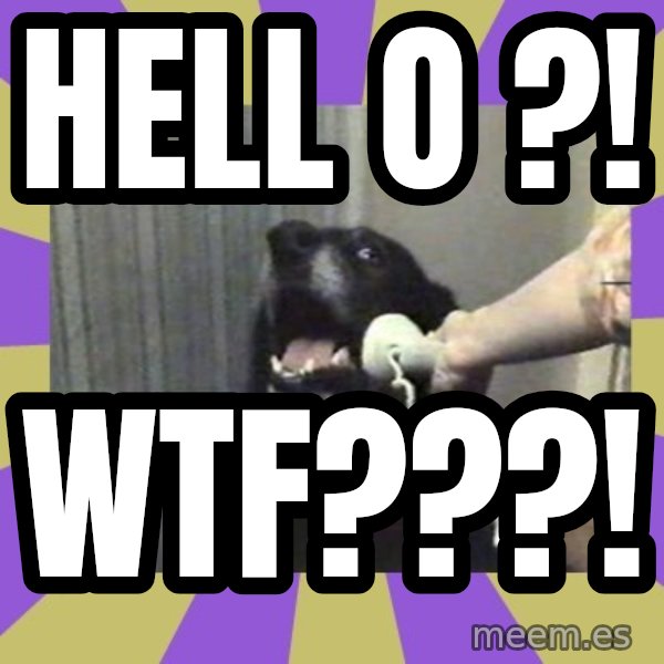 Yes, this is dog! meme: Hell o ?! / WTF???!