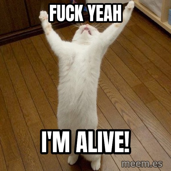 praise the lord cat meme: Fuck yeah / I'm alive!