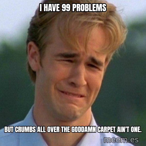 90s Problems meme: I HAVE 99 PROBLEMS / BUT CRUMBS ALL OVER THE GODDAMN CARPET AIN'T ONE.