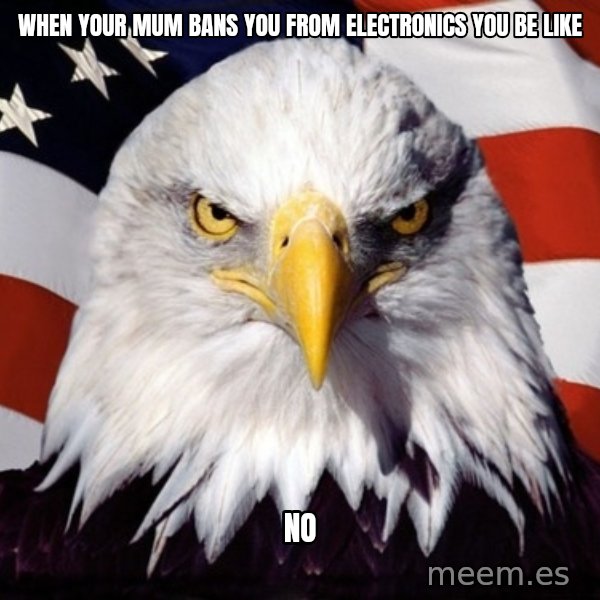 American Pride Eagle meme: when your mum bans you from electronics you be like / no