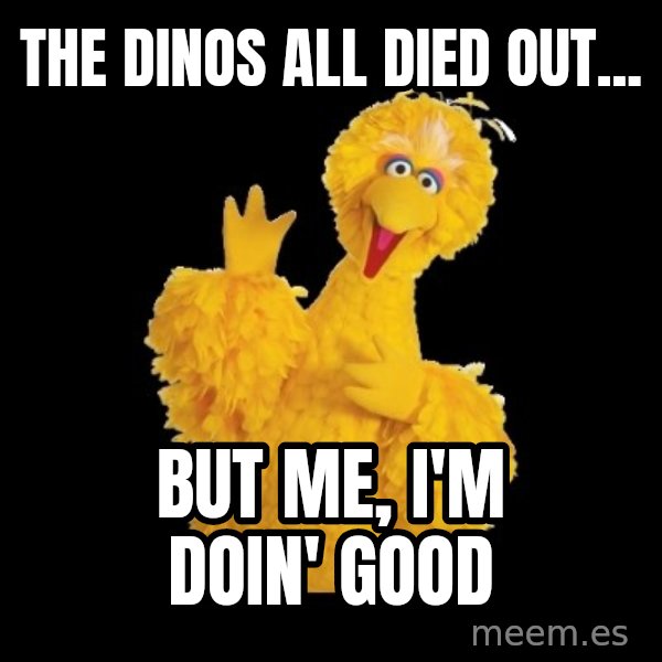 BIG BIRD meme meme: The dinos all died out... / But me, I'm doin' good