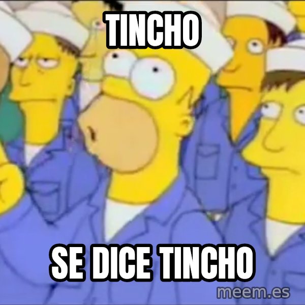 Homero Simpson Atomico meme: TINCHO / se dice TINCHO