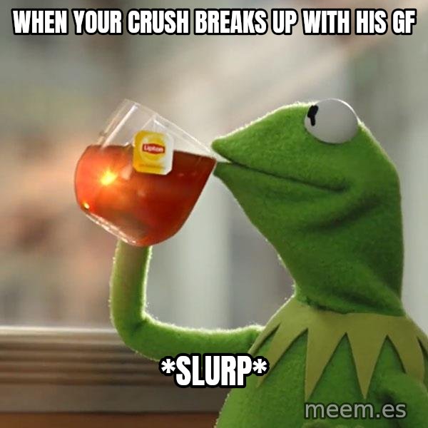 Kermit The Frog Drinking Tea meme: when your crush breaks up with his gf / *SlUrp*