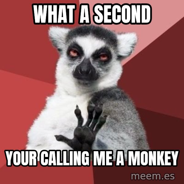 mindenki nyugodjon le a picsába meme: what a second / your calling me a monkey