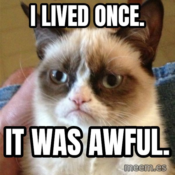 Grumpy Cat  meme: i lived once. / it was awful.